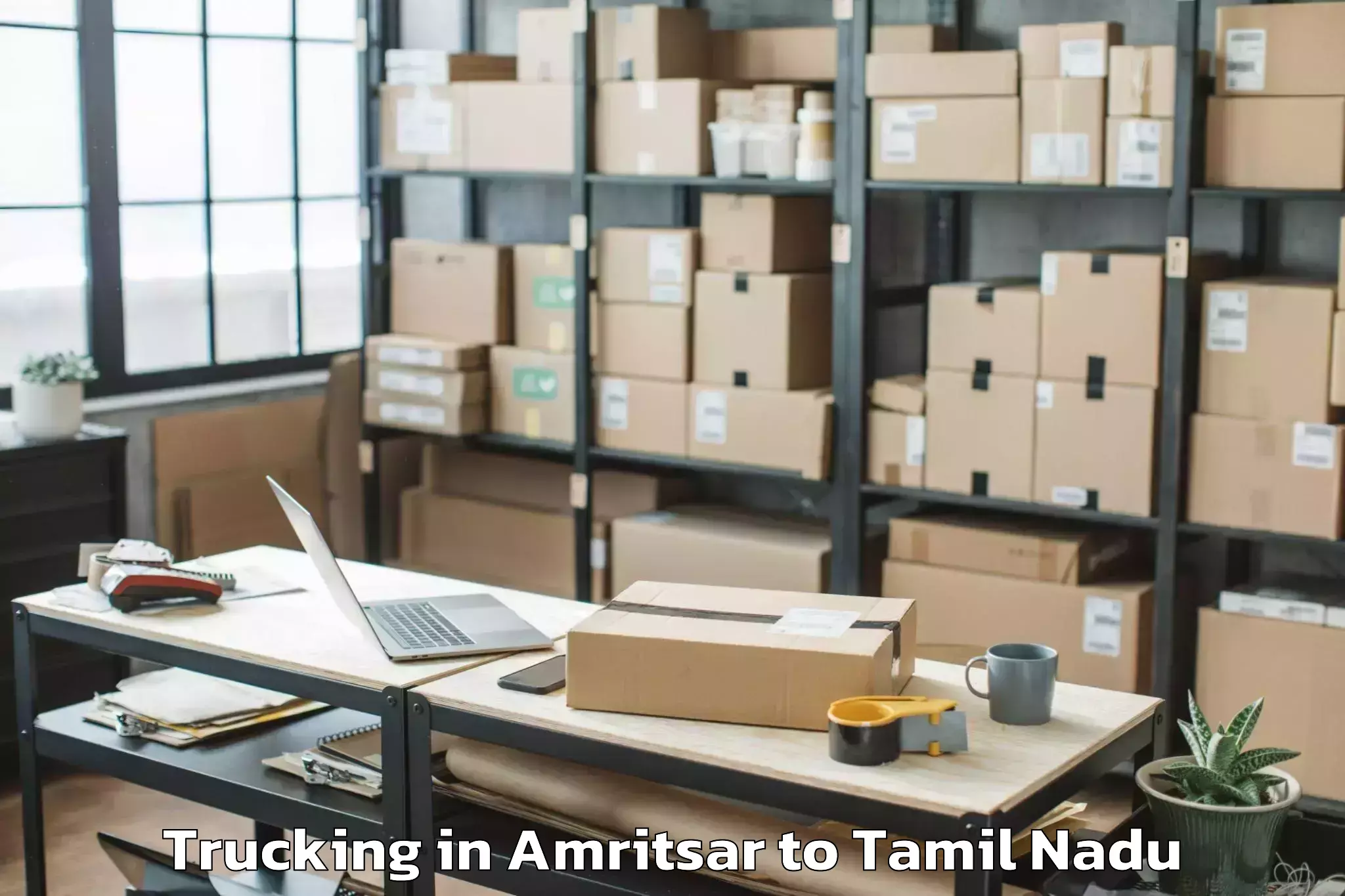 Comprehensive Amritsar to Central University Of Tamil Na Trucking